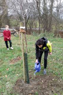 img_20221208_141209.jpg